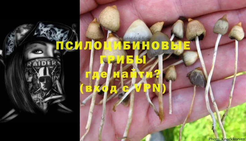 ОМГ ОМГ рабочий сайт  Новоалтайск  Псилоцибиновые грибы MAGIC MUSHROOMS 